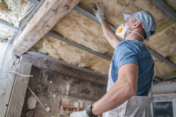 Insulation Replacement Services in Greenwood, MO