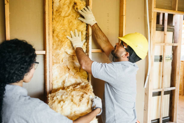 Insulation Inspection Services in Greenwood, MO