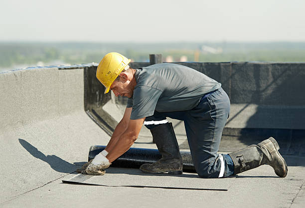 Best Home Insulation Services  in Greenwood, MO