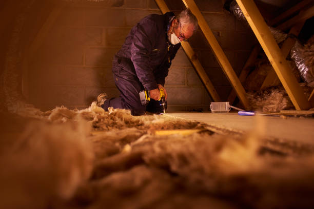 Best Home Insulation Services  in Greenwood, MO